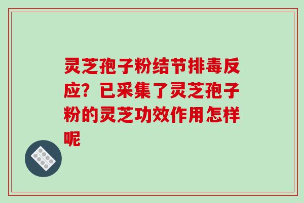 灵芝孢子粉结节反应？已采集了灵芝孢子粉的灵芝功效作用怎样呢
