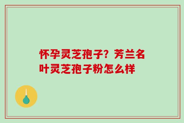 怀孕灵芝孢子？芳兰名叶灵芝孢子粉怎么样