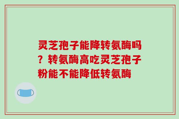 灵芝孢子能降转氨酶吗?转氨酶高吃灵芝孢子粉能不能降低转氨酶 灵芝孢子能降转氨酶吗?转氨酶高吃灵芝孢子粉能不能降低转氨酶
