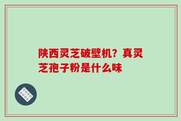 陕西灵芝破壁机？真灵芝孢子粉是什么味