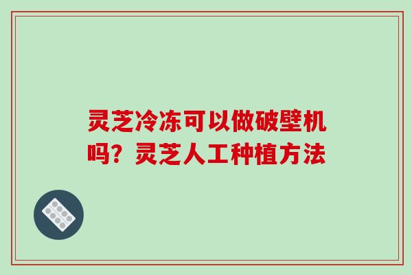 灵芝冷冻可以做破壁机吗？灵芝人工种植方法