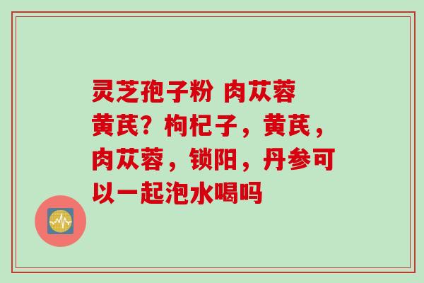 灵芝孢子粉 肉苁蓉 黄芪？枸杞子，黄芪，肉苁蓉，锁阳，丹参可以一起泡水喝吗
