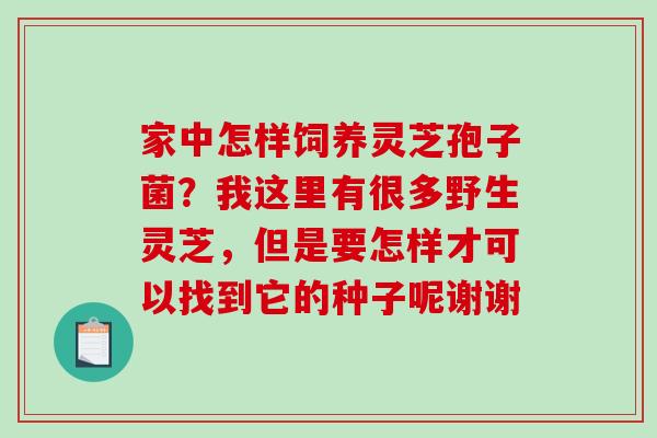 家中怎样饲养灵芝孢子菌？我这里有很多野生灵芝，但是要怎样才可以找到它的种子呢谢谢