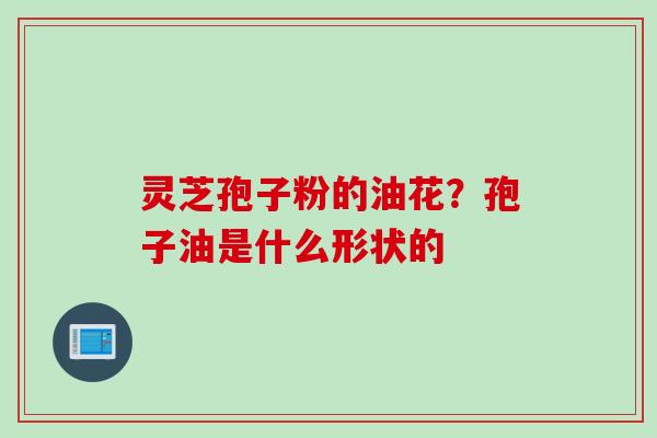 灵芝孢子粉的油花？孢子油是什么形状的