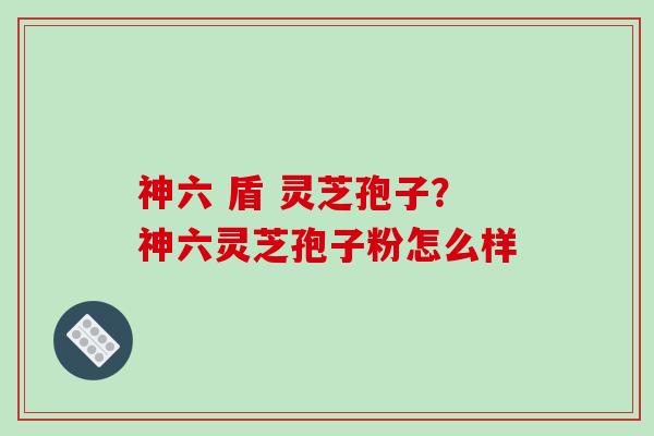 神六 盾 灵芝孢子？神六灵芝孢子粉怎么样