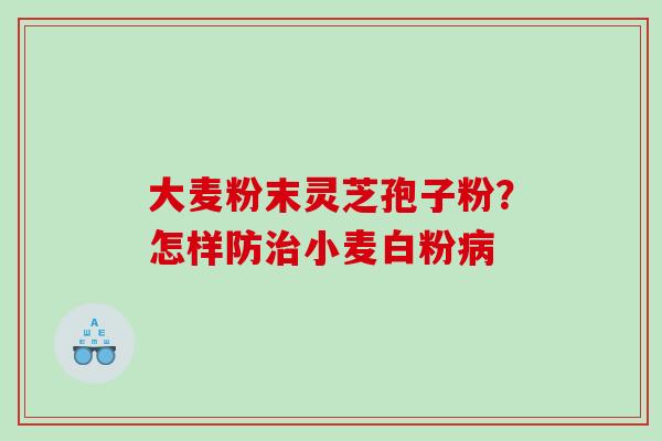 大麦粉末灵芝孢子粉？怎样防治小麦白粉病