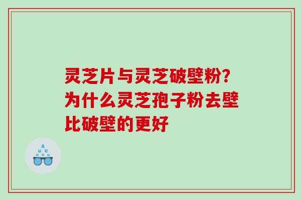 灵芝片与灵芝破壁粉？为什么灵芝孢子粉去壁比破壁的更好