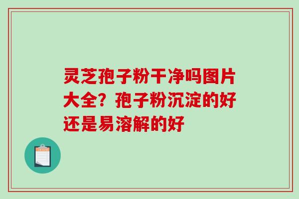灵芝孢子粉干净吗图片大全？孢子粉沉淀的好还是易溶解的好