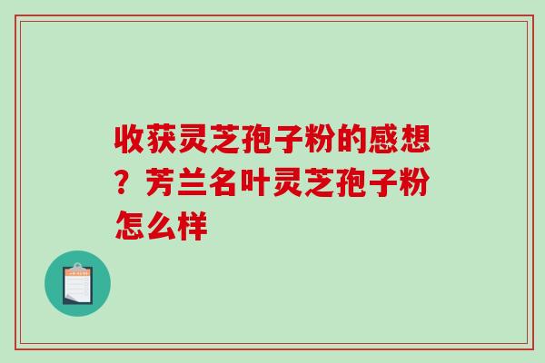 收获灵芝孢子粉的感想？芳兰名叶灵芝孢子粉怎么样