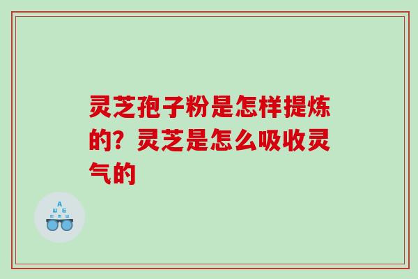 灵芝孢子粉是怎样提炼的？灵芝是怎么吸收灵气的