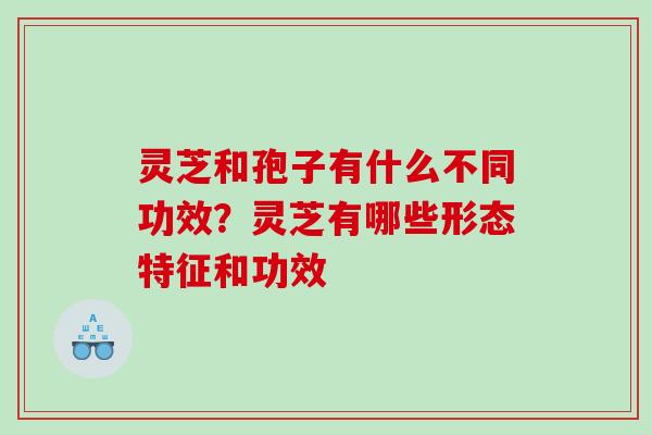 灵芝和孢子有什么不同功效？灵芝有哪些形态特征和功效