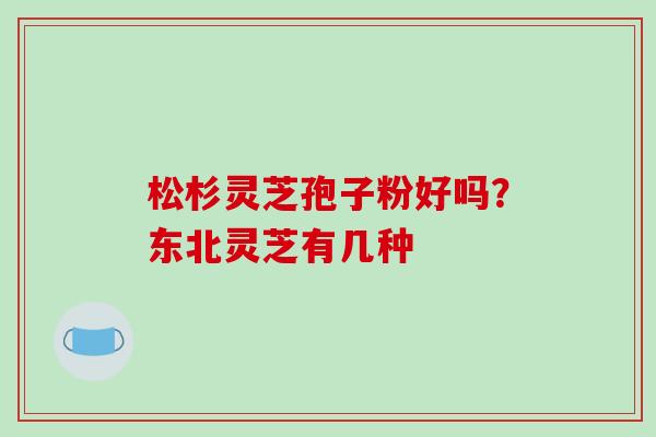 松杉灵芝孢子粉好吗？东北灵芝有几种