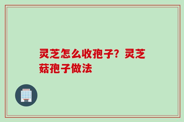 灵芝怎么收孢子？灵芝菇孢子做法