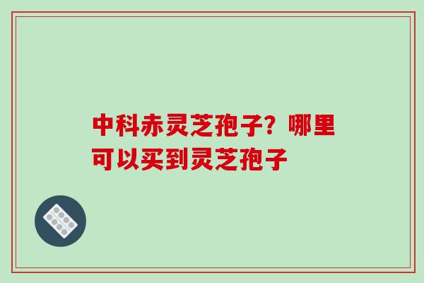 中科赤灵芝孢子？哪里可以买到灵芝孢子