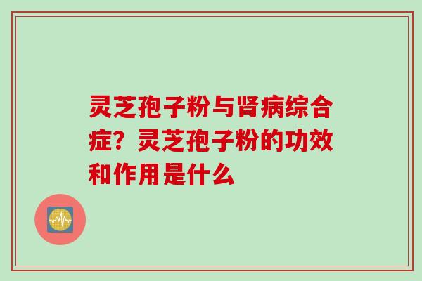 灵芝孢子粉与肾病综合症？灵芝孢子粉的功效和作用是什么