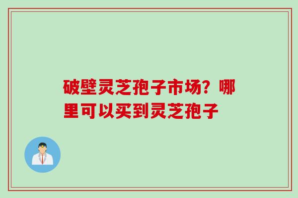 破壁灵芝孢子市场？哪里可以买到灵芝孢子
