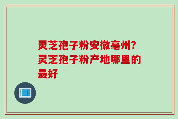 灵芝孢子粉安徽亳州?灵芝孢子粉产地哪里的好 灵芝孢子粉安徽亳州?灵芝孢子粉产地哪里的好