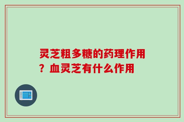 灵芝粗多糖的药理作用？血灵芝有什么作用