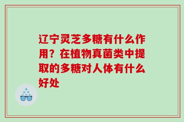 辽宁灵芝多糖有什么作用？在植物真菌类中提取的多糖对人体有什么好处