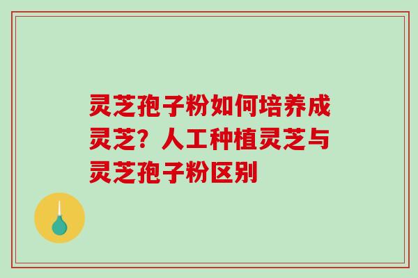 灵芝孢子粉如何培养成灵芝？人工种植灵芝与灵芝孢子粉区别