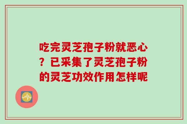 吃完灵芝孢子粉就恶心？已采集了灵芝孢子粉的灵芝功效作用怎样呢