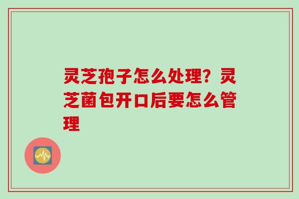 灵芝孢子怎么处理？灵芝菌包开口后要怎么管理