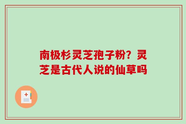 南极杉灵芝孢子粉？灵芝是古代人说的仙草吗