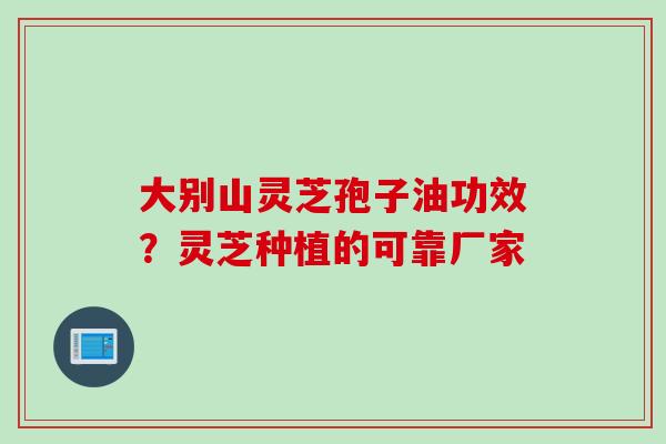 大别山灵芝孢子油功效？灵芝种植的可靠厂家