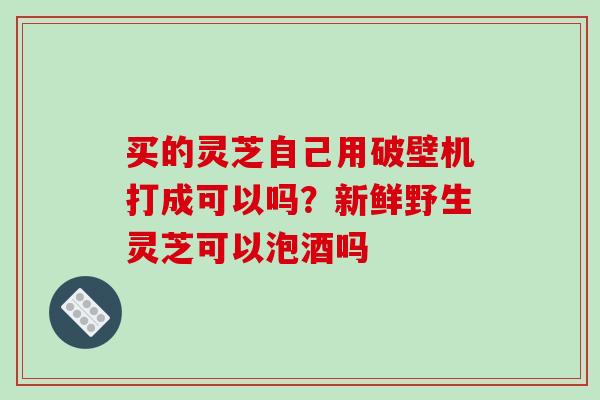 买的灵芝自己用破壁机打成可以吗？新鲜野生灵芝可以泡酒吗