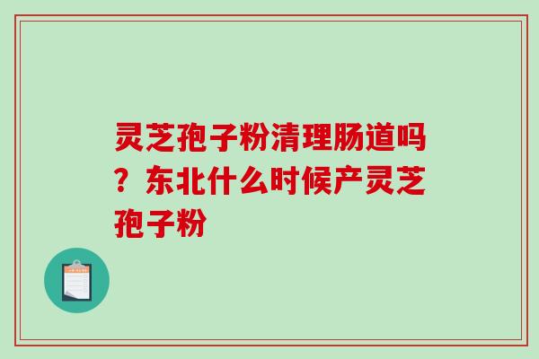 灵芝孢子粉清理肠道吗？东北什么时候产灵芝孢子粉