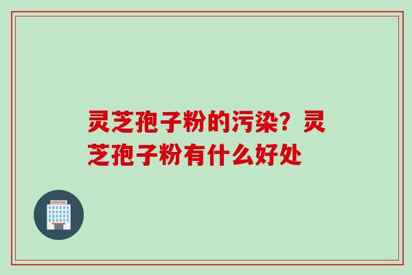 灵芝孢子粉的污染？灵芝孢子粉有什么好处