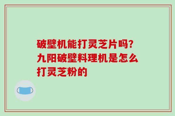 破壁机能打灵芝片吗？九阳破壁料理机是怎么打灵芝粉的