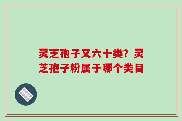 灵芝孢子又六十类？灵芝孢子粉属于哪个类目