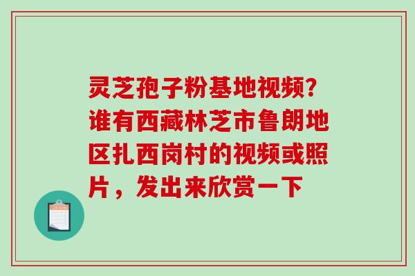 灵芝孢子粉基地视频？谁有西藏林芝市鲁朗地区扎西岗村的视频或照片，发出来欣赏一下