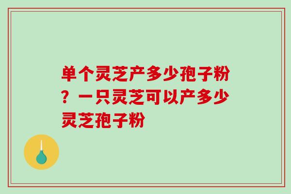 单个灵芝产多少孢子粉？一只灵芝可以产多少灵芝孢子粉