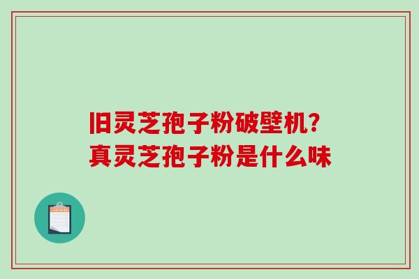 旧灵芝孢子粉破壁机？真灵芝孢子粉是什么味