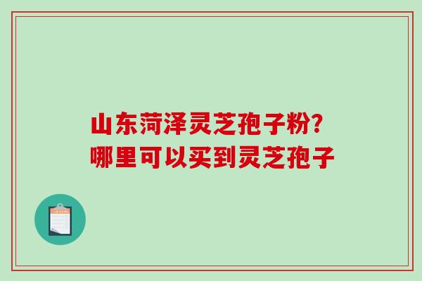 山东菏泽灵芝孢子粉？哪里可以买到灵芝孢子