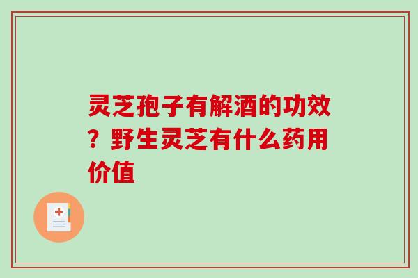 灵芝孢子有解酒的功效？野生灵芝有什么药用价值