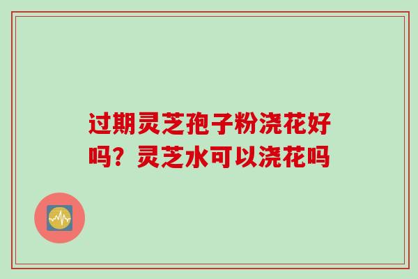 过期灵芝孢子粉浇花好吗？灵芝水可以浇花吗