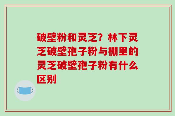 破壁粉和灵芝?林下灵芝破壁孢子粉与棚里的灵芝破壁孢子粉有什么区别 破壁粉和灵芝?林下灵芝破壁孢子粉与棚里的灵芝破壁孢子粉有什么区别