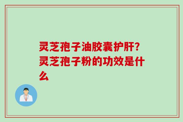 灵芝孢子油胶囊护肝？灵芝孢子粉的功效是什么