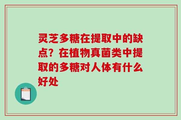 灵芝多糖在提取中的缺点？在植物真菌类中提取的多糖对人体有什么好处