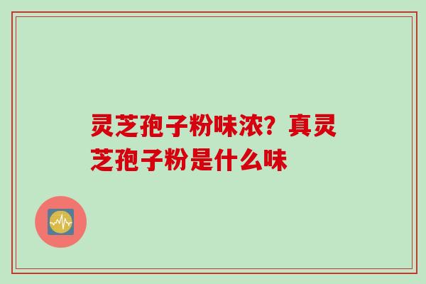 灵芝孢子粉味浓？真灵芝孢子粉是什么味