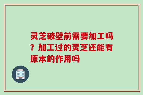 灵芝破壁前需要加工吗？加工过的灵芝还能有原本的作用吗