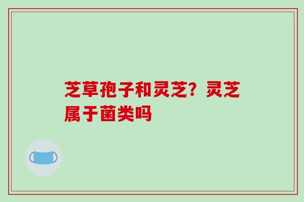 芝草孢子和灵芝？灵芝属于菌类吗