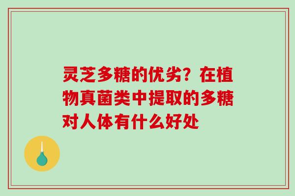 灵芝多糖的优劣？在植物真菌类中提取的多糖对人体有什么好处