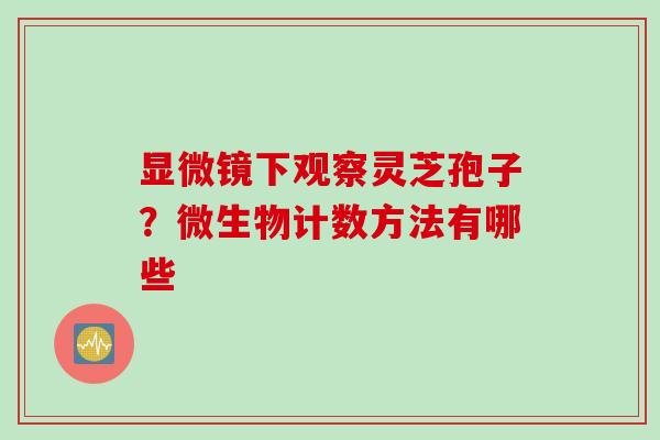显微镜下观察灵芝孢子？微生物计数方法有哪些