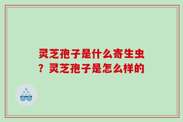 灵芝孢子是什么寄生虫？灵芝孢子是怎么样的