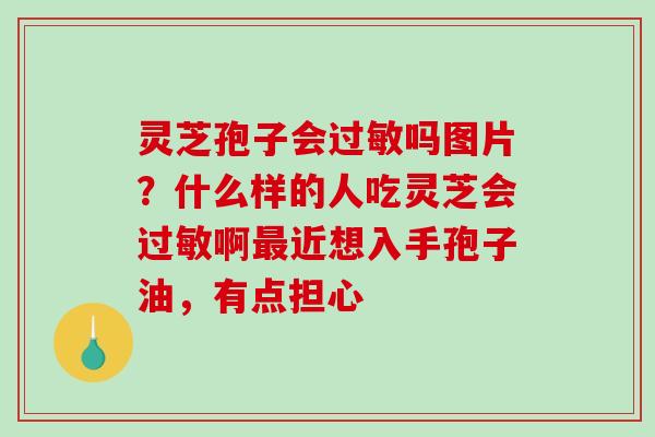 灵芝孢子会吗图片?什么样的人吃灵芝会啊近想入手孢子油,有点担心 灵芝孢子会吗图片?什么样的人吃灵芝会啊近想入手孢子油,有点担心