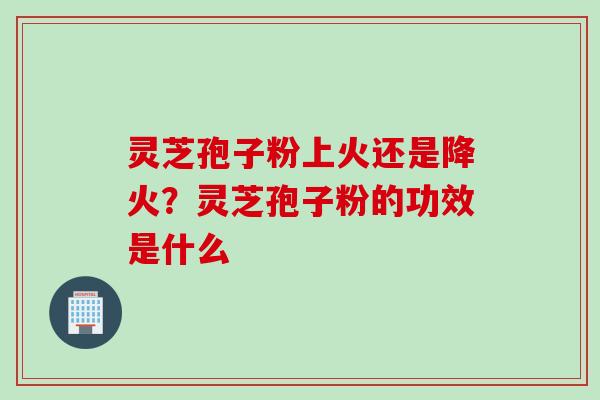 灵芝孢子粉上火还是降火？灵芝孢子粉的功效是什么